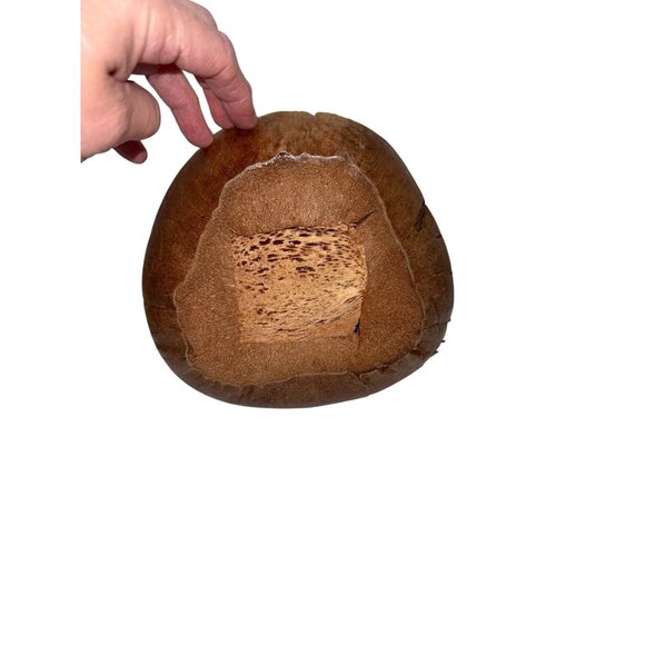 Handmade Wise Owl Wearing Glasses Coconut Shell Figurine Sculpture Kitsch BOHO - Picture 7 of 12